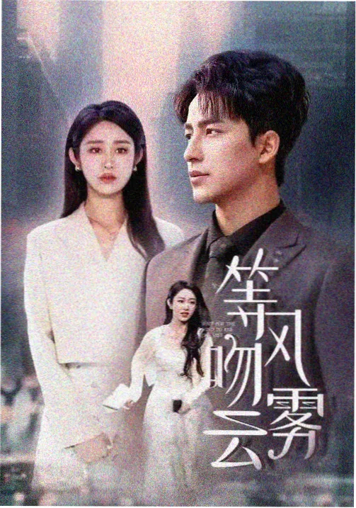 剧集 第七个证人 海报
